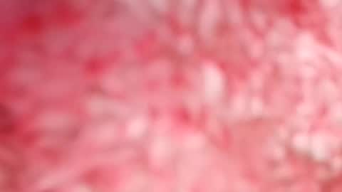 pocahontasdoll95 online show from May 2026 07:53:02 PM