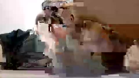 poli online show from February 2026 07:14:02 PM