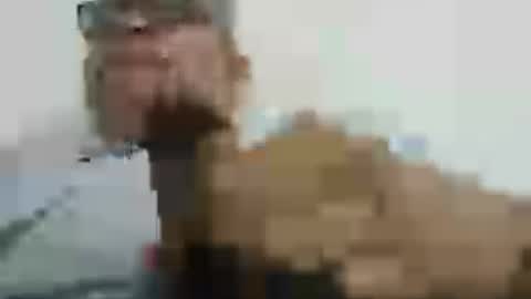 poli online show from July 2026 06:12:01 PM