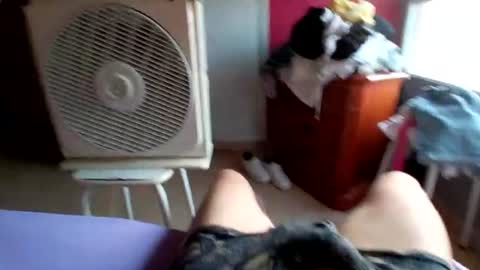 Snapshot of pollonyhuevosgordos chatting on July 2026 05:14:01 AM pollonyhuevosgordos online show from July 2026 05:14:01 AM