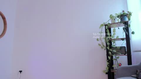 Polly online show from May 2026 02:13:02 PM