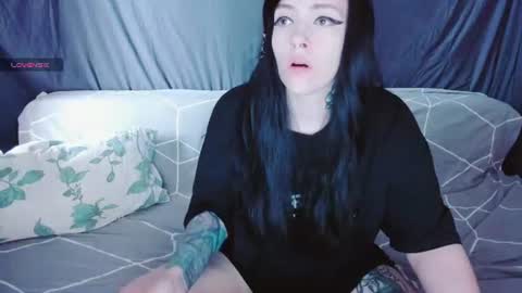Polly online show from July 2026 12:22:01 PM