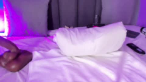 POLLY online show from February 2025 01:33:02 PM