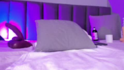 POLLY online show from February 2025 04:36:01 PM