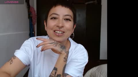 Poly online show from January 2025 04:19:01 PM