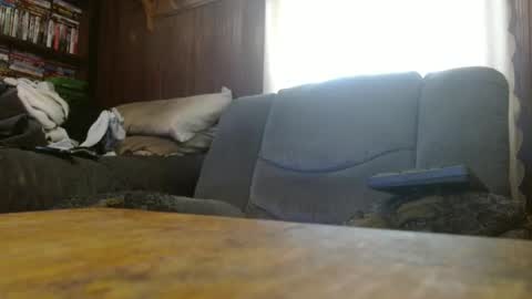 Snapshot of porkingit400 chatting on March 2026 01:17:02 PM porkingit400 online show from March 2026 01:17:02 PM