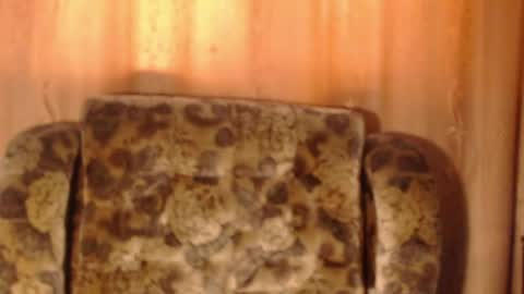 porn88s online show from May 2026 01:29:02 PM