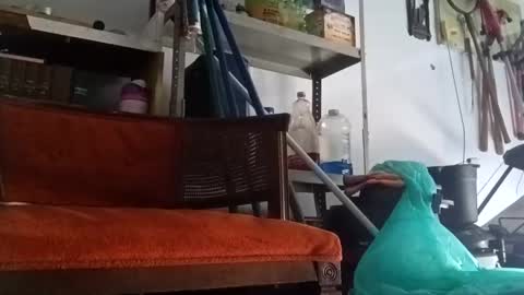 Snapshot of poundgame0710 chatting on September 2025 04:50:02 PM PipeLayerPlayer007 online show from September 2025 04:50:02 PM