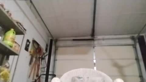 Snapshot of poundgame0710 chatting on October 2025 05:38:01 AM PipeLayerPlayer007 online show from October 2025 05:38:01 AM