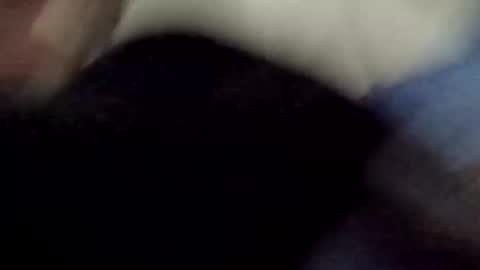 Snapshot of poundgame0710 chatting on April 2026 04:34:01 AM PipeLayerPlayer007 online show from April 2026 04:34:01 AM