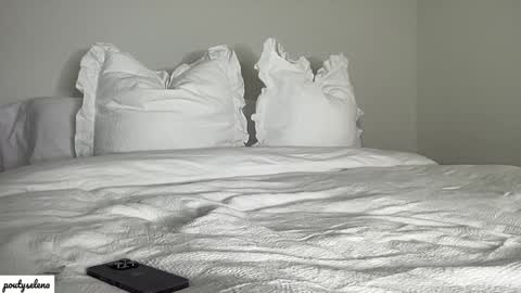 Snapshot of poutyselena chatting on January 2025 12:33:01 AM Selena online show from January 2025 12:33:01 AM