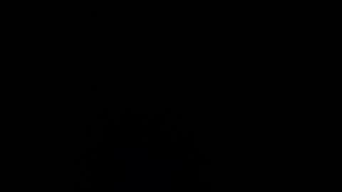 pponyred online show from July 2026 03:04:01 AM
