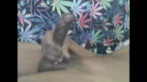 Snapshot of presidentialbryana chatting on January 2025 06:52:01 PM Libra Lamont online show from January 2025 06:52:01 PM