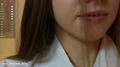 Snapshot of pretty_princess_elina chatting on January 2025 05:30:01 PM Elina online show from January 2025 05:30:01 PM