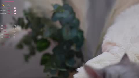 Snapshot of pretty_princess_elina chatting on March 2025 07:03:02 PM Elina online show from March 2025 07:03:02 PM