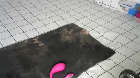 Pretty doll online show from December 2025 09:39:02 AM