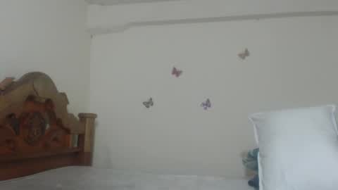 Snapshot of pretty_rose_ chatting on February 2025 07:11:01 AM Rose online show from February 2025 07:11:01 AM