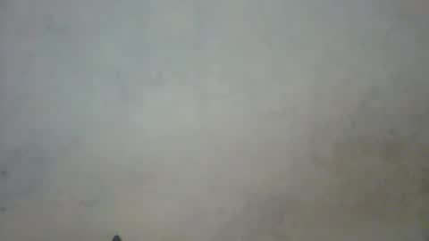 Snapshot of prettycarl_2 chatting on March 2025 10:42:01 PM prettycarl_2 online show from March 2025 10:42:01 PM