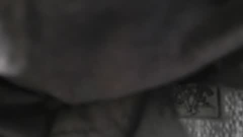 DADDYDICRICO6969 online show from January 2026 10:24:01 PM