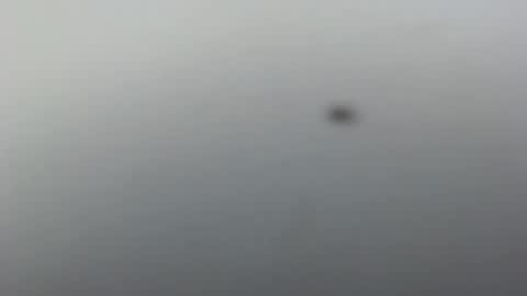 prettynyash online show from March 2025 12:01:02 PM