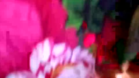 prettyrose01 online show from April 2026 11:29:01 PM