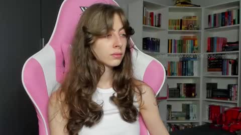 Snapshot of prettysomething chatting on November 2025 06:14:02 AM Sophie next stream will be at Monday i will wait you guys online show from November 2025 06:14:02 AM