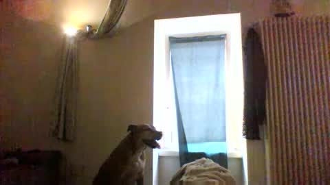 Snapshot of priante1983 chatting on January 2026 12:40:01 PM BBW facial slave online show from January 2026 12:40:01 PM