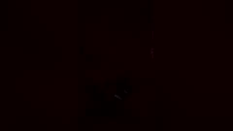 prickandpuss online show from February 2026 07:30:01 AM