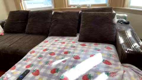 Snapshot of princ3ssarii chatting on December 2025 07:43:01 PM Princess Arii online show from December 2025 07:43:01 PM