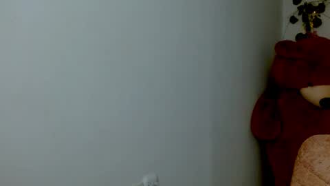 Snapshot of princess1609 chatting on February 2026 12:35:02 PM princess1609 online show from February 2026 12:35:02 PM