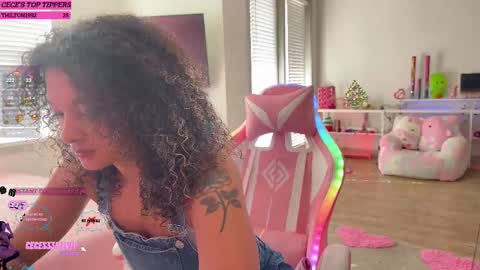 Cece  NEXT LIVESTREAM -- DEC. 4th  7 PM CST online show from February 2025 04:39:02 PM