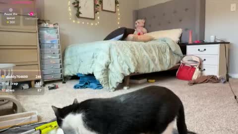 Sable online show from March 2026 04:19:01 PM