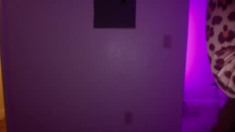 Snapshot of princesstwerkk chatting on April 2026 04:57:01 AM Princess Twerkk online show from April 2026 04:57:01 AM