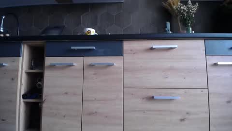 Space online show from October 2025 06:43:02 AM