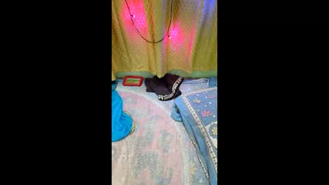 Snapshot of priyachocolaty chatting on February 2026 08:35:01 PM priyachocolaty online show from February 2026 08:35:01 PM