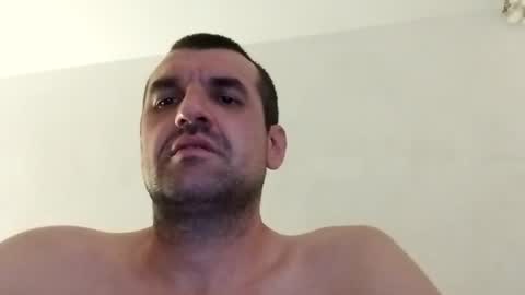 pro100bi online show from August 2026 03:42:01 AM