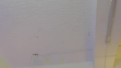 Pucca online show from May 2026 12:13:02 PM