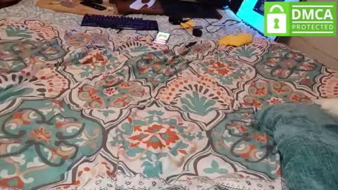 LOVE TO GET MY ASS FUCKED online show from March 2026 05:22:01 AM