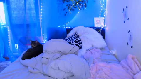 EsteticHouse online show from May 2026 02:25:01 PM