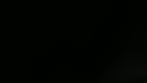 pumpkin3000 online show from May 2026 07:24:01 AM