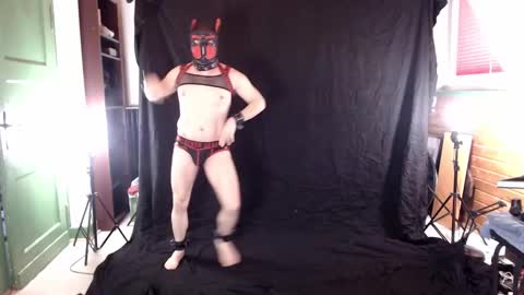 Pup Jake wants to play online show from March 2025 01:03:01 PM