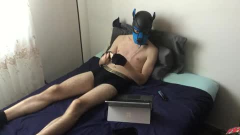 Snapshot of pup_toby chatting on November 2025 11:10:01 AM Toby online show from November 2025 11:10:01 AM