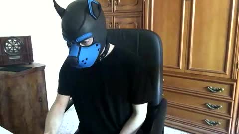 Snapshot of pup_toby chatting on November 2025 10:48:02 AM Toby online show from November 2025 10:48:02 AM