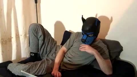 Snapshot of pup_toby chatting on November 2025 08:08:02 PM Toby online show from November 2025 08:08:02 PM