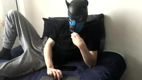Snapshot of pup_toby chatting on November 2025 02:17:01 PM Toby online show from November 2025 02:17:01 PM