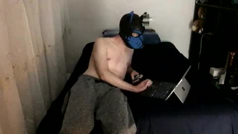 Snapshot of pup_toby chatting on November 2025 04:40:02 PM Toby online show from November 2025 04:40:02 PM