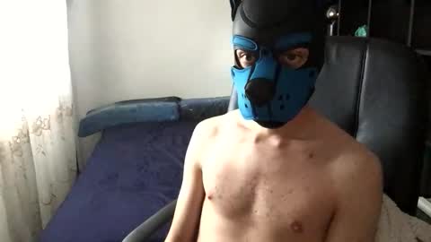 Snapshot of pup_toby chatting on November 2025 09:31:01 AM Toby online show from November 2025 09:31:01 AM