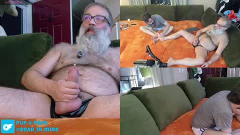 Pup And Papa bear online show from May 2026 01:44:01 AM