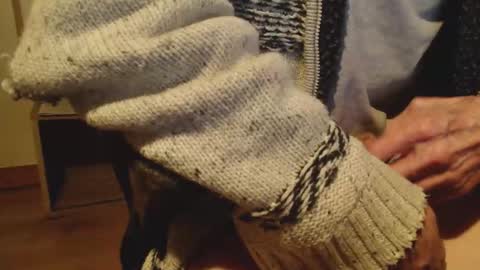 puppyrune online show from October 2025 11:35:01 PM