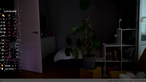 Sasha  wait you here 6 of November. will celebrate my B- day online show from July 2026 02:02:01 PM